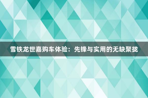 雪铁龙世嘉购车体验：先锋与实用的无缺聚拢